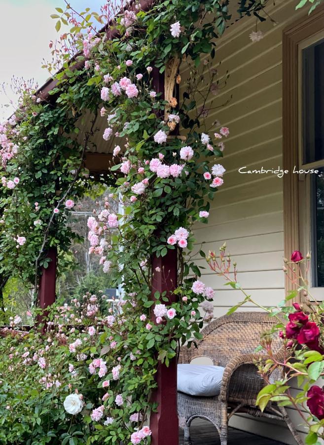 Cambridge House Breakfast & Bed Bed & Breakfast Geeveston Exterior foto