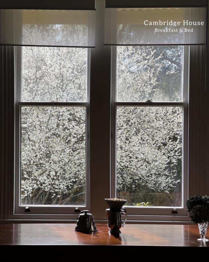 Cambridge House Breakfast & Bed Bed & Breakfast Geeveston Exterior foto