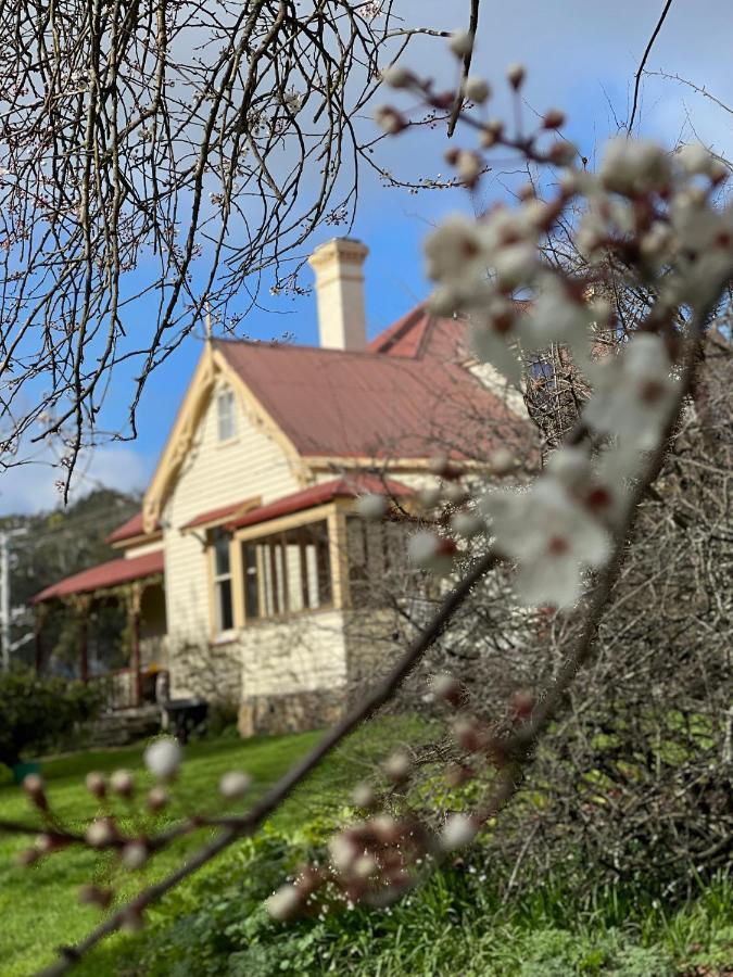 Cambridge House Breakfast & Bed Bed & Breakfast Geeveston Exterior foto