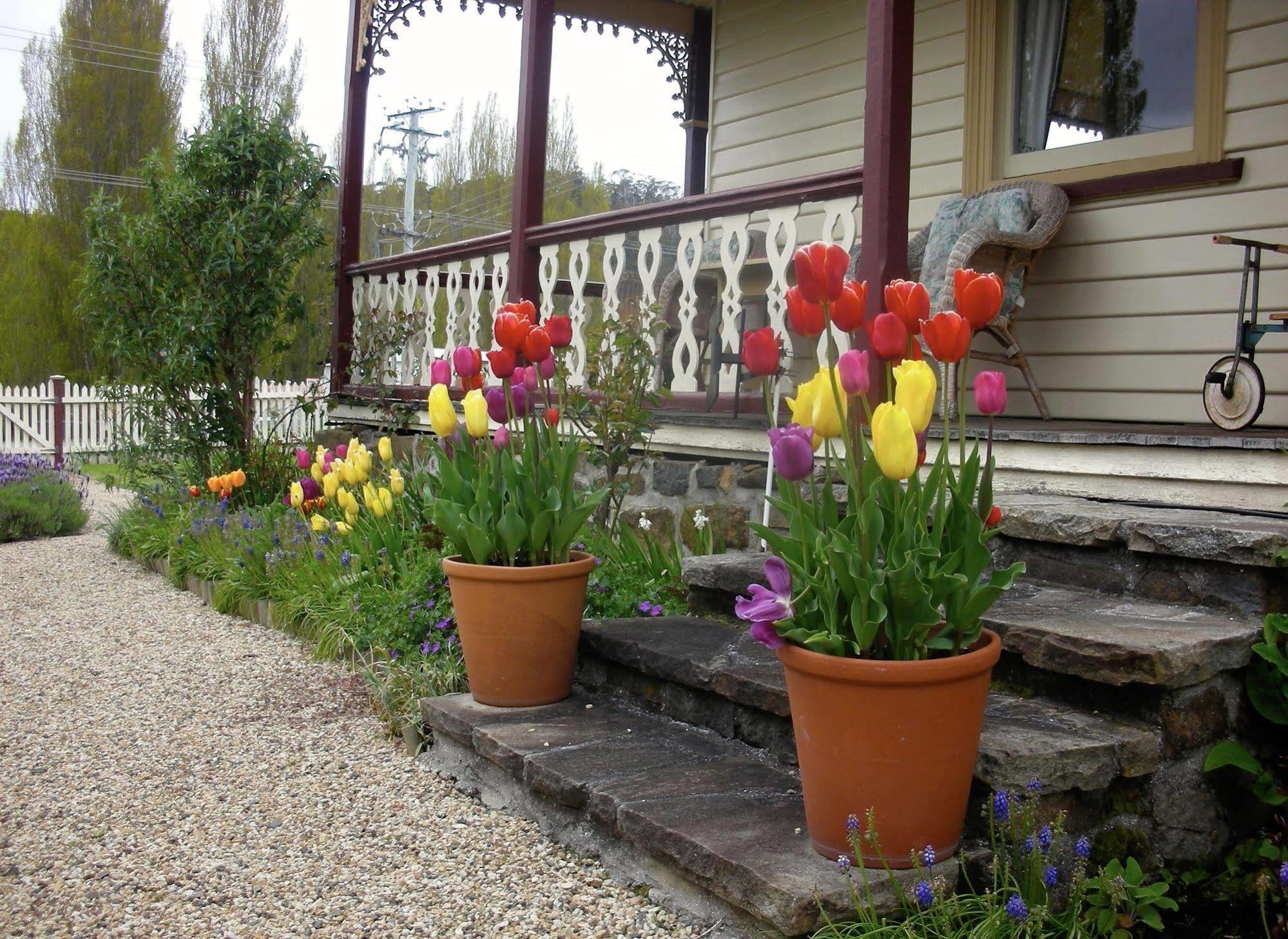 Cambridge House Breakfast & Bed Bed & Breakfast Geeveston Exterior foto